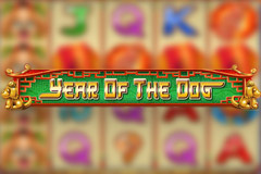 Year of the Dog