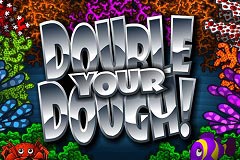 Double Your Dough