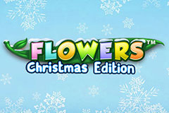 Flowers Christmas Edition