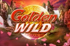 Golden Wild