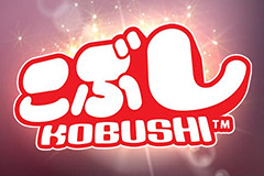 Kobushi