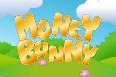 Money Bunny