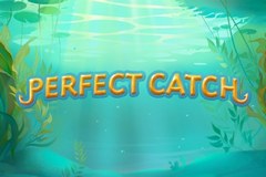 Perfect Catch