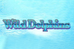 Wild Dolphins